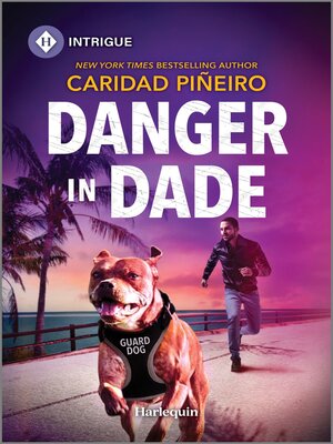 Danger in Dade - ebook